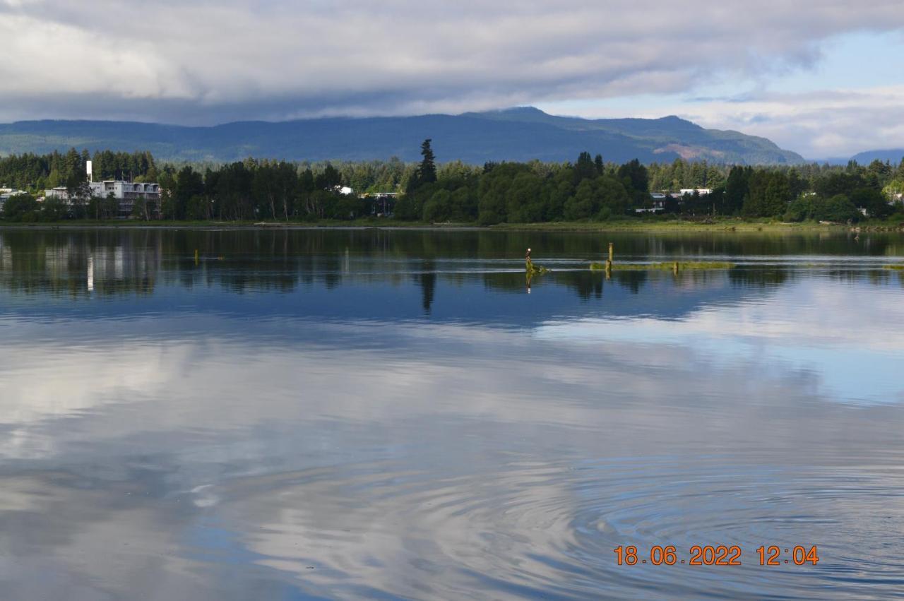 Estuary House Reflexology B&B Courtenay Εξωτερικό φωτογραφία