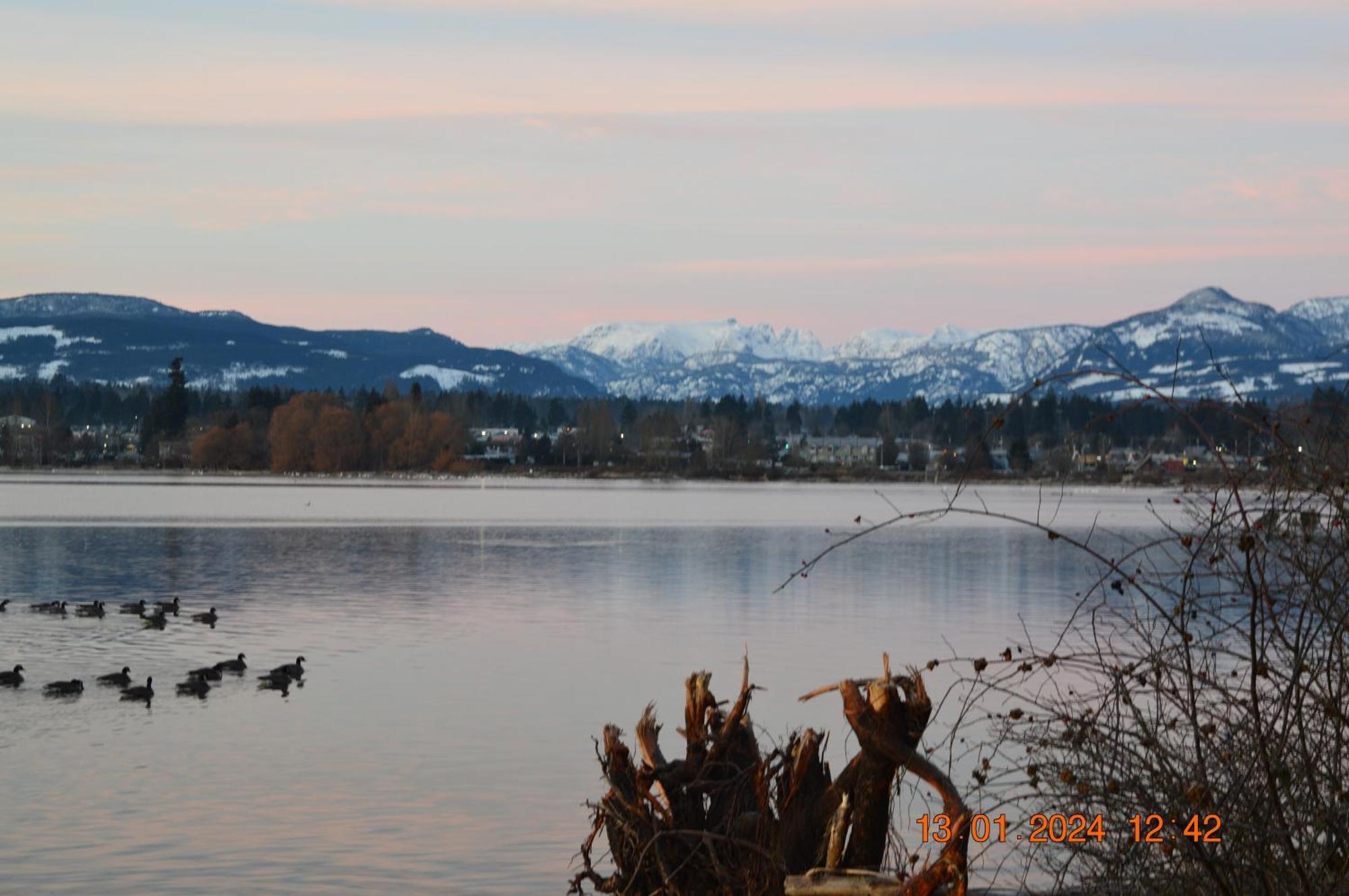 Estuary House Reflexology B&B Courtenay Εξωτερικό φωτογραφία