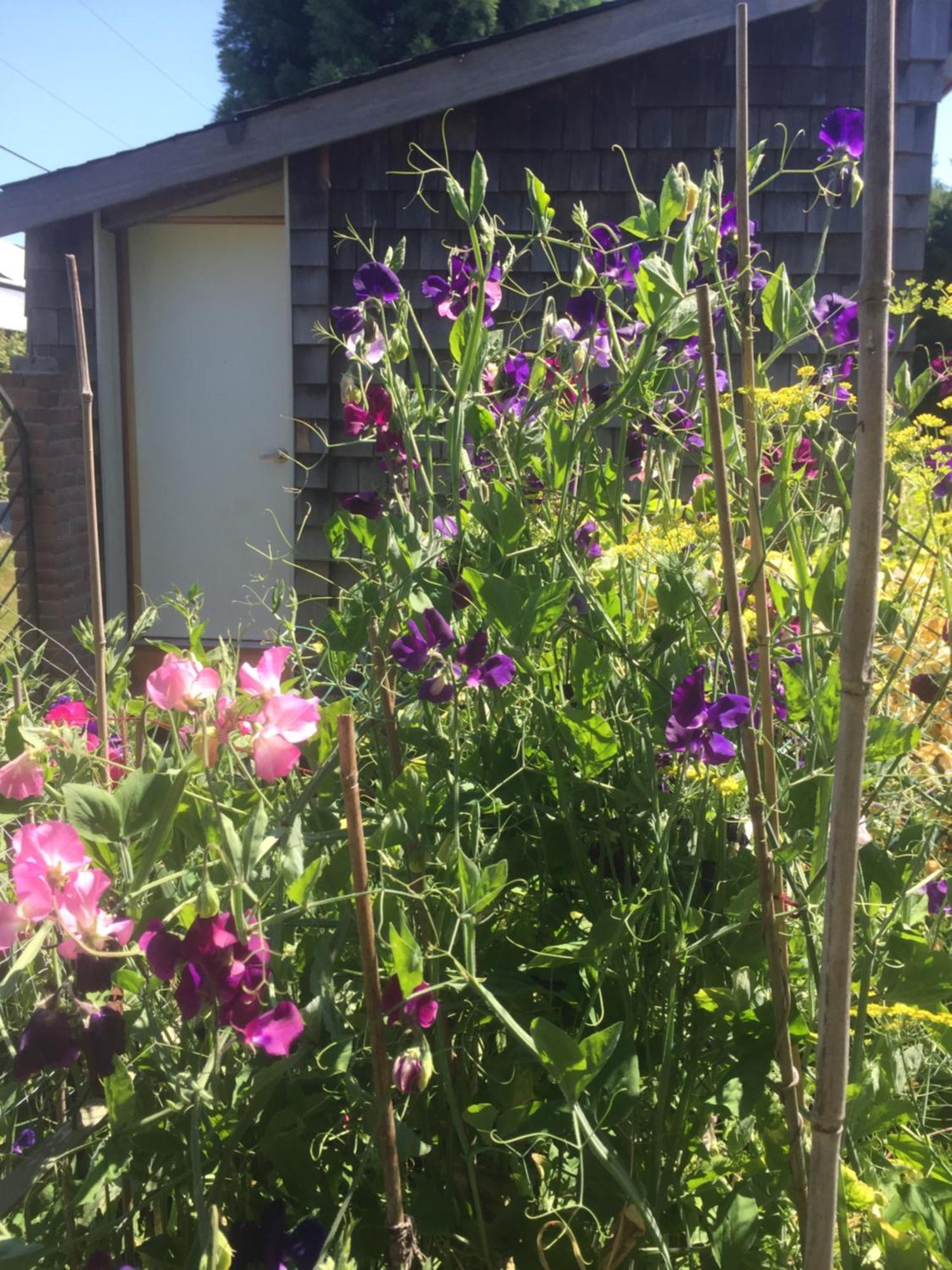 Estuary House Reflexology B&B Courtenay Εξωτερικό φωτογραφία