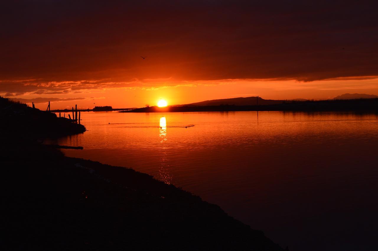 Estuary House Reflexology B&B Courtenay Εξωτερικό φωτογραφία